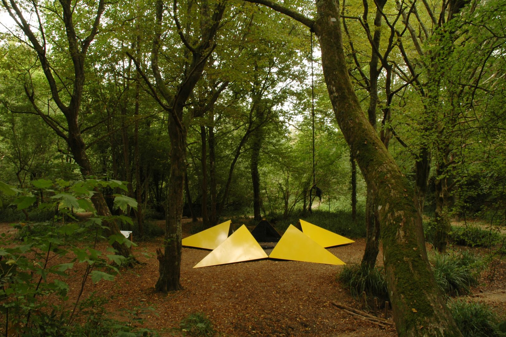 Belle étoile, 2012
