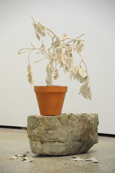 En attendant l’hiver, 2012