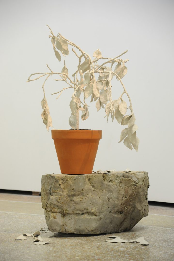 En attendant l’hiver, 2012