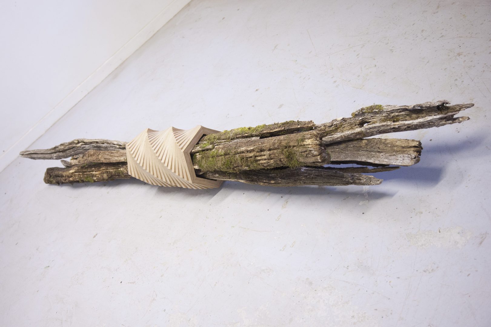 Fagot, 2014