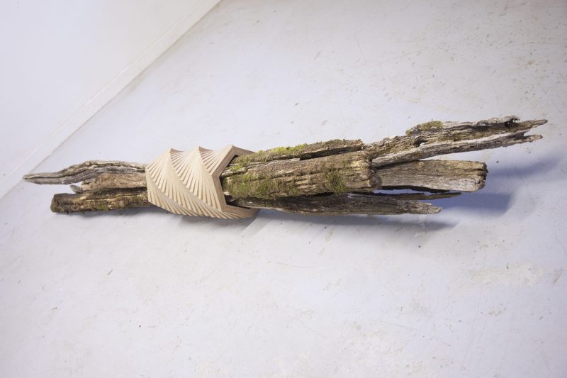 Fagot, 2014