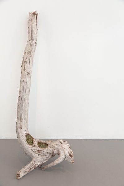 Le Nid, 2013