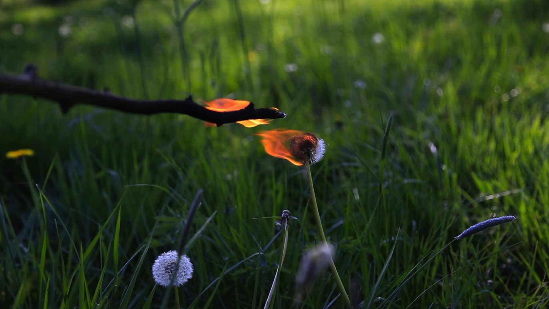 Soleils
