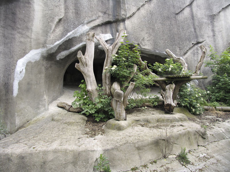 Wildlife