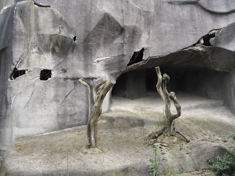Wildlife