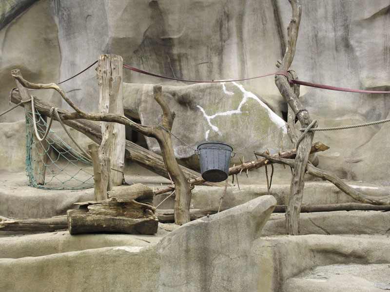 Wildlife, 2006